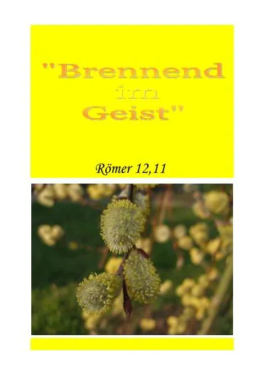 Titelbild: Brennend im Geist - Roemer 12 Br