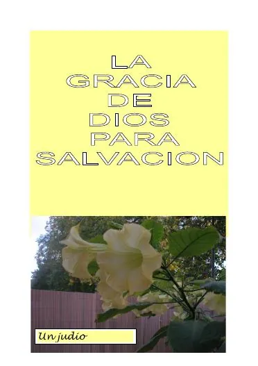 Titelbild: LA GRACIA DE DIOS